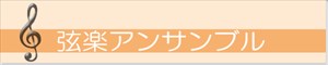 弦楽アンサンブル